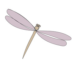 vector, white background, dragonfly, insect, isolated