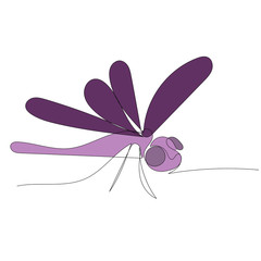 vector, white background, dragonfly, insect, isolated