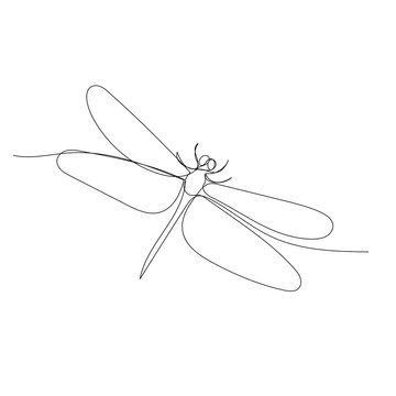 vector, on a white background, dragonfly, insect, continuous line drawing