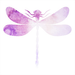vector, on a white background, watercolor lilac silhouette dragonfly, insect