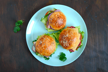Different burgers on the plate. Homemade bun with ham or meat or salami, vegetables, herbs. Sandwiches for lunch. The top view