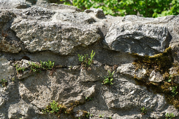 Artfully built walls with natural stone