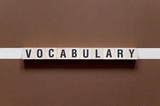 Vocabulary word concept on cubes