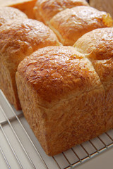 Fresh Baked Bread Loaf on Non Stick Cooling Rack. Natural Light Photography