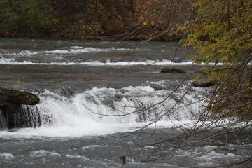 NIagara falls in autumn