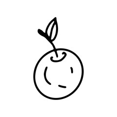 Cherry in doodle hand drawn style. Fruit on an isolated white background. Stock vector illustration.