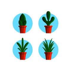 Cute Plant in The Pot Illustration