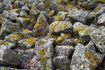 grey stones covered with green moss