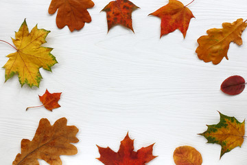 fallen leaves of maple, oak and birch on table with copy space in the center  the top view. place for autumn inscriptions