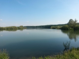 lake close to forest in summer season in sunny day