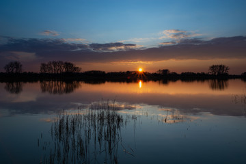 Sunset over a calm lake with reeds, the evening cloud reflecting in the water