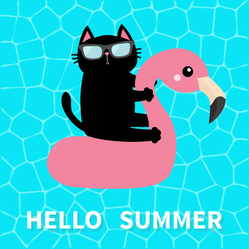 Hello Summer. Swimming pool water. Black cat floating on white flamingo pool float water circle. Top air view. Sunglasses. Lifebuoy. Cute cartoon relaxing character. Flat design.