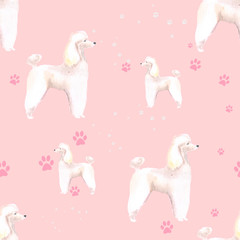 Set of cute poodles seamless pattern. can be used for printing on fabric, clothing, t-shirts. Postcards, booklets. Backgrounds, web