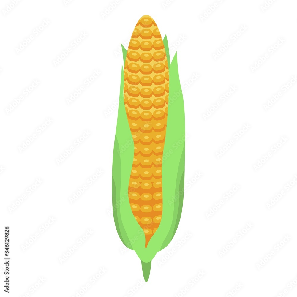 Poster fresh corn cob icon. isometric of fresh corn cob vector icon for web design isolated on white backgr