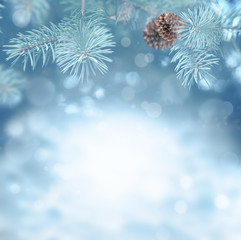 Fototapeta na wymiar Beautiful snowy winter landscape with a snowy fir branch, snowflakes and cone. Winter background.