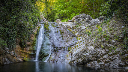 waterfall between rocks in a green forest