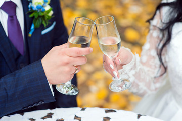 bride and groom with glasses with champagne close-up