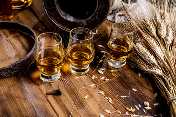 Small tasting glasses with aged Scotch whisky on old dark wooden vintage table with barley grains - obrazy, fototapety, plakaty