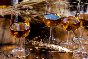 Tasting glasses with aged Scotch whisky or bourbon on old dark wooden vintage table with barley grains