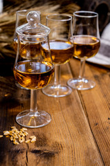 Tasting glasses with aged Scotch whisky or bourbon on old dark wooden vintage table with barley grains