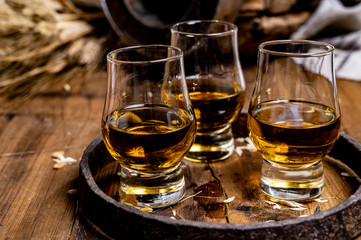 Small tasting glasses with aged Scotch whisky on old dark wooden vintage table with barley grains