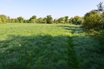 The English countryside in Spring 2020

