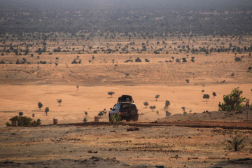 samochód terenowy jadący przez pustynię w afryce - obrazy, fototapety, plakaty