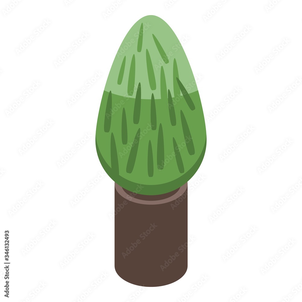 Poster decorative pot tree icon. isometric of decorative pot tree vector icon for web design isolated on wh