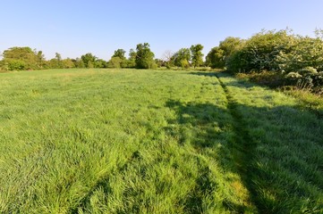 Fototapeta na wymiar The English countryside in Spring 2020 