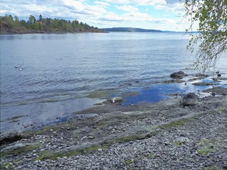 Landscape with blue sky and sea - Lysaker 