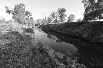 The River Mole early in the morning in Spring 2020.