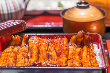 Close-up on fillets of japanese unagi eel  grilled in a kabayaki style topped on steamed white rice in a lackered jubako food box.