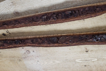 Background light natural wood texture