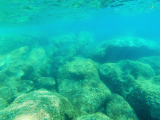Fototapeta na wymiar Underwater view of Alghero turquoise water in summer