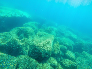 Naklejka na ściany i meble Underwater view of rocks in Alghero seabed