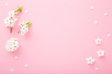 Fresh white cherry blossoms on light pink table background. Pastel color. Flat lay. Closeup. Empty...