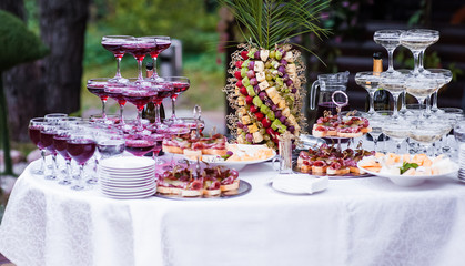 Delicious cold snacks catering at the wedding party