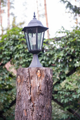 Fototapeta na wymiar The lamp costs on a wooden felling