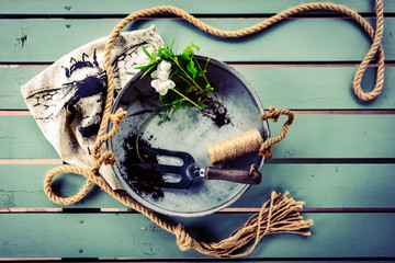 Gardening flat lay. Set of rustic, old, vintage gardening tools, metal tray, marine rope and fresh green seedlings on mint green wooden table