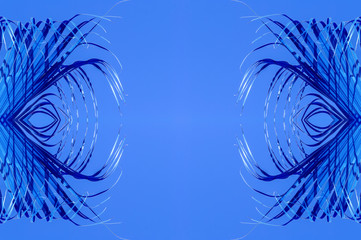 Fototapeta na wymiar Palmes bleues symétriques 