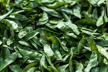 Close up of flat green beans (Romano beans) at food street market. Top view of raw green string beans. Vegetable background