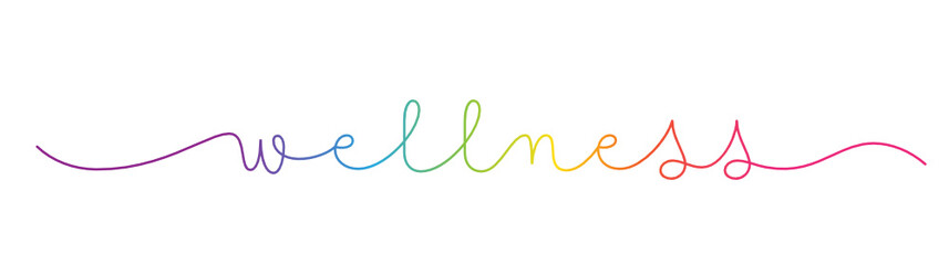 WELLNESS rainbow-colored vector monoline calligraphy banner with swashes