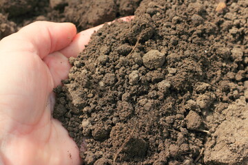 A handful of fertile peat soil