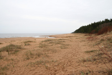 
Shore of the Baltic Sea in Estonia