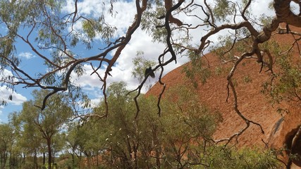 オーストラリアの自然