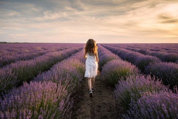 Rear view of a beautiful little girl enjoying and running between rows of blooming lavender field...