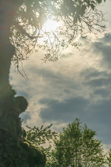 Fototapete bei efototapeten.de bestellen   