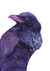 Big watercolor crow looking back, winter street, snowfall, cold day, christmas mood. Raster stock illustration in realism. can be used in children book.