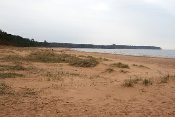 
Shore of the Baltic Sea in Estonia