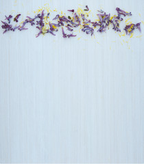 A female desktop layout with an empty place and yellow and purple flower petals on top on a white wooden background. Empty space. Stylized stock photo, web banner. Flat lay, top view.